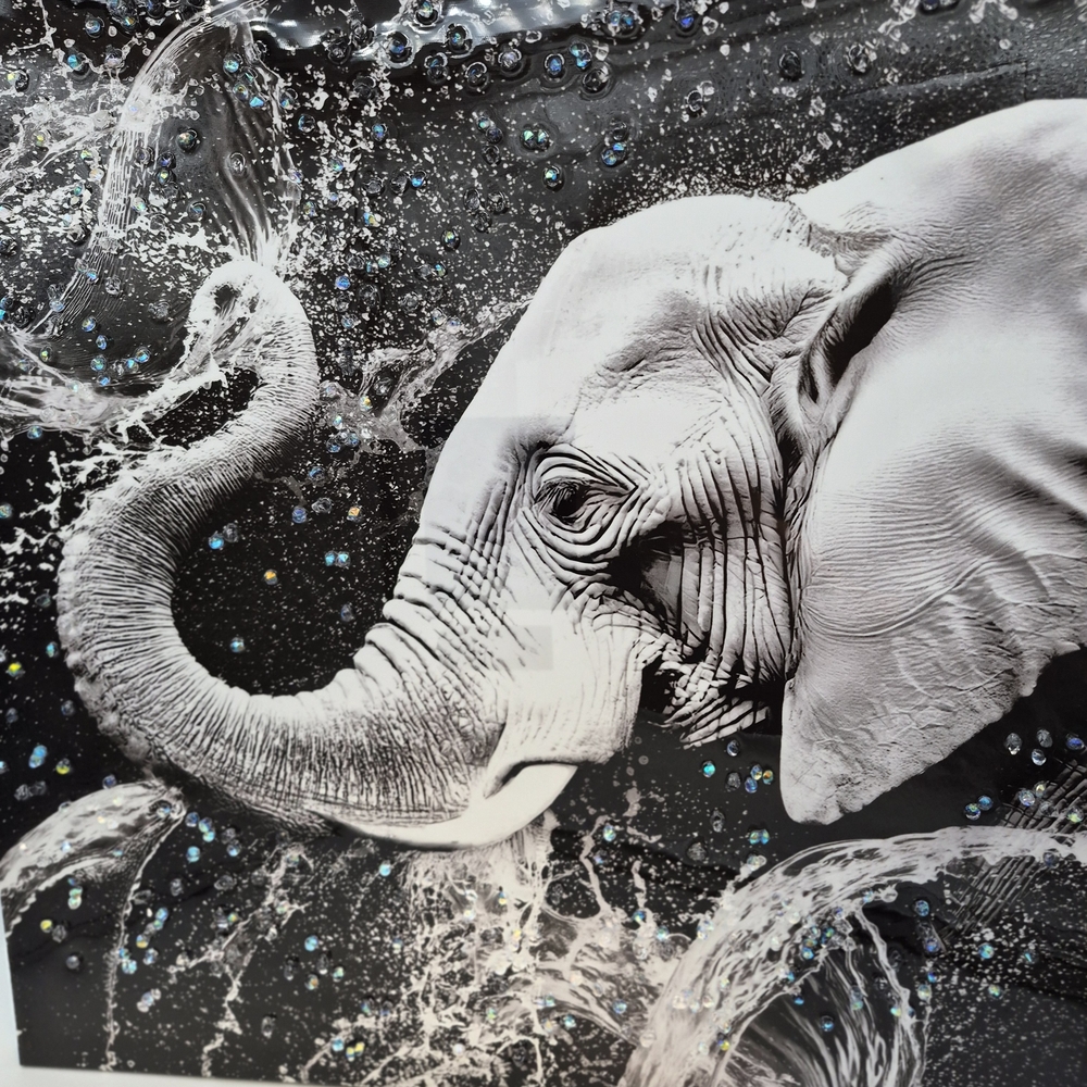 Monochrome Elephant Splash Art